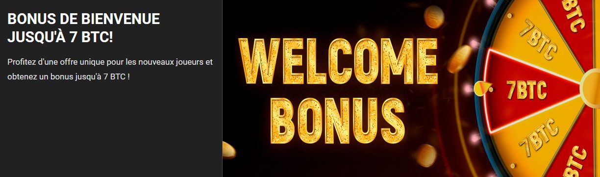 100% de bonus sur votre premier dépôt jusqu'à 1 BTC